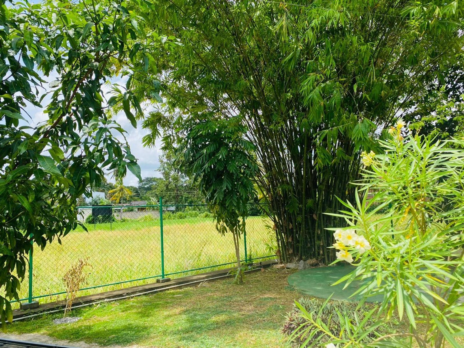 Premium Cottages B&B Kurunegala Luaran gambar