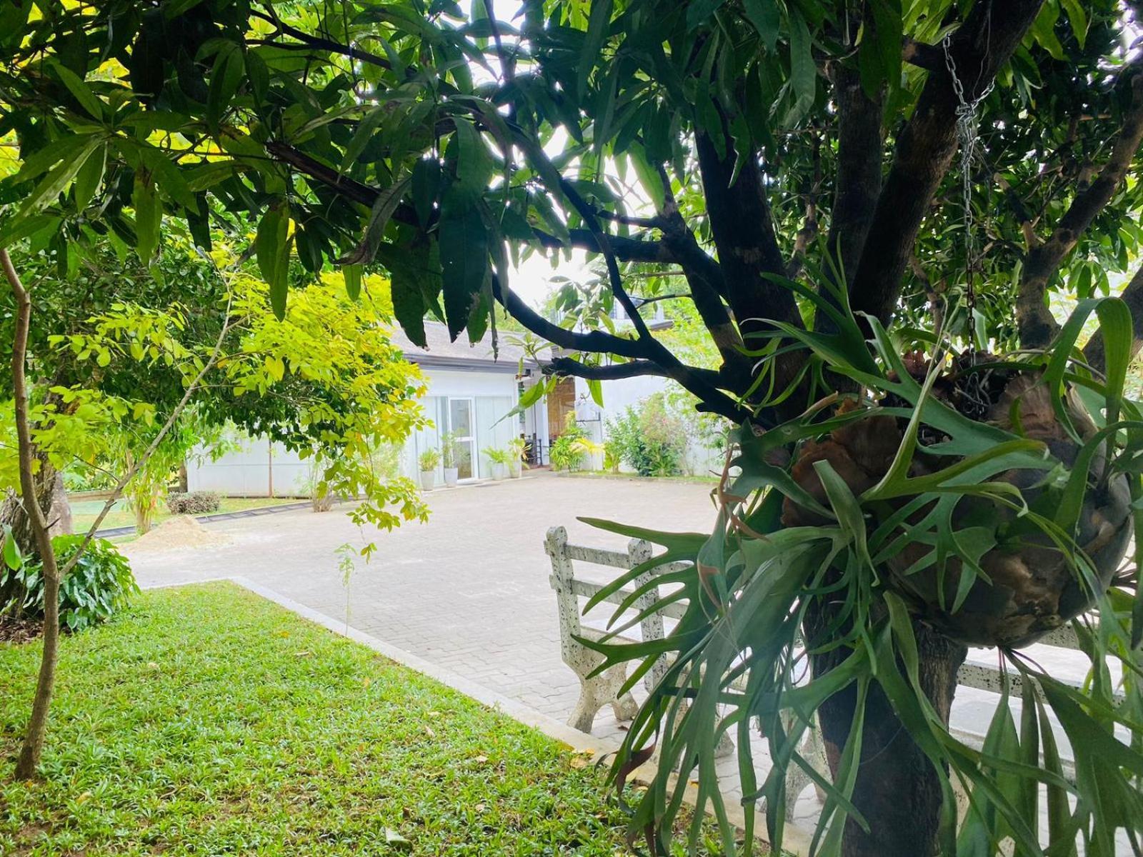 Premium Cottages B&B Kurunegala Luaran gambar
