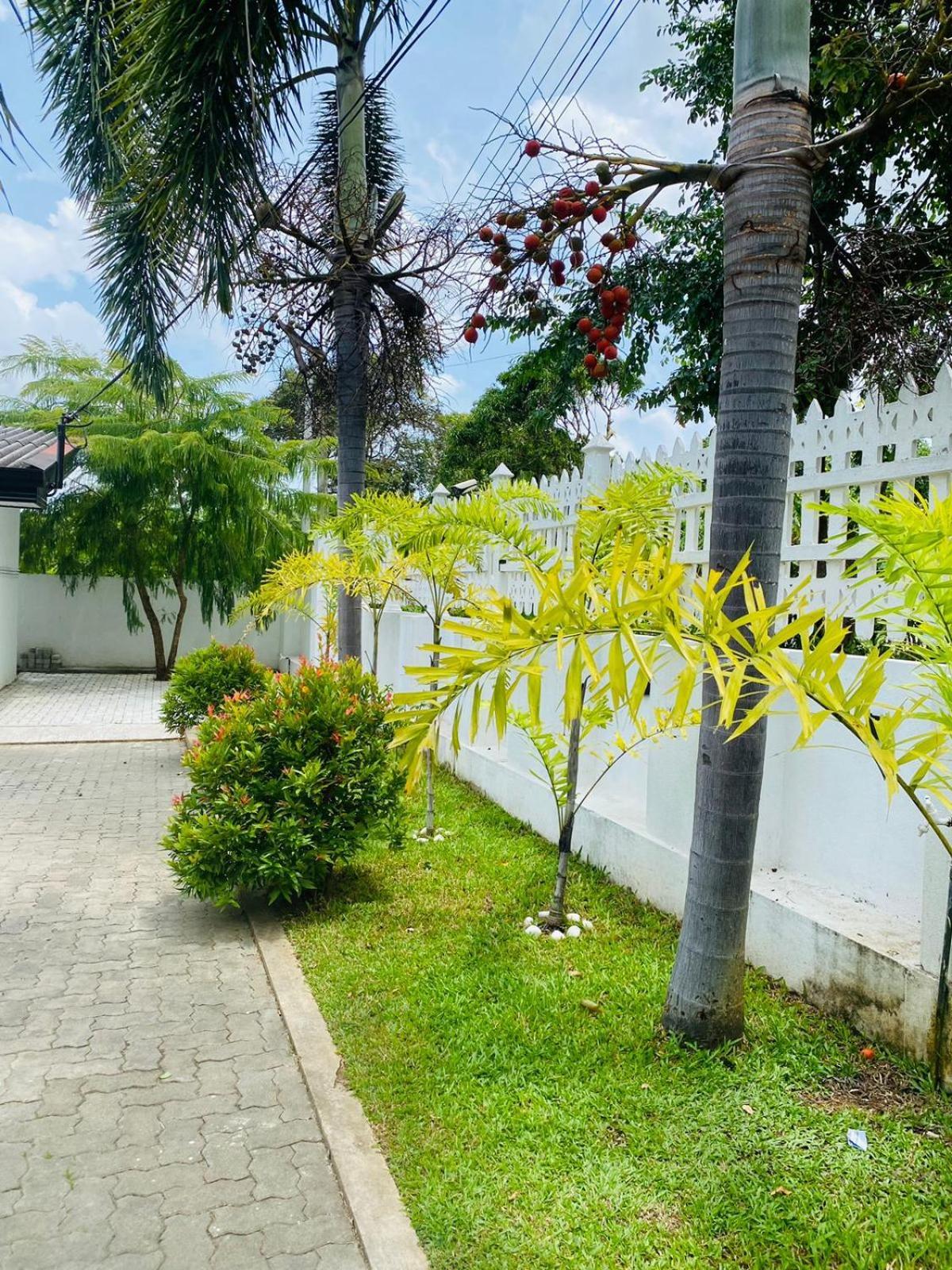 Premium Cottages B&B Kurunegala Luaran gambar