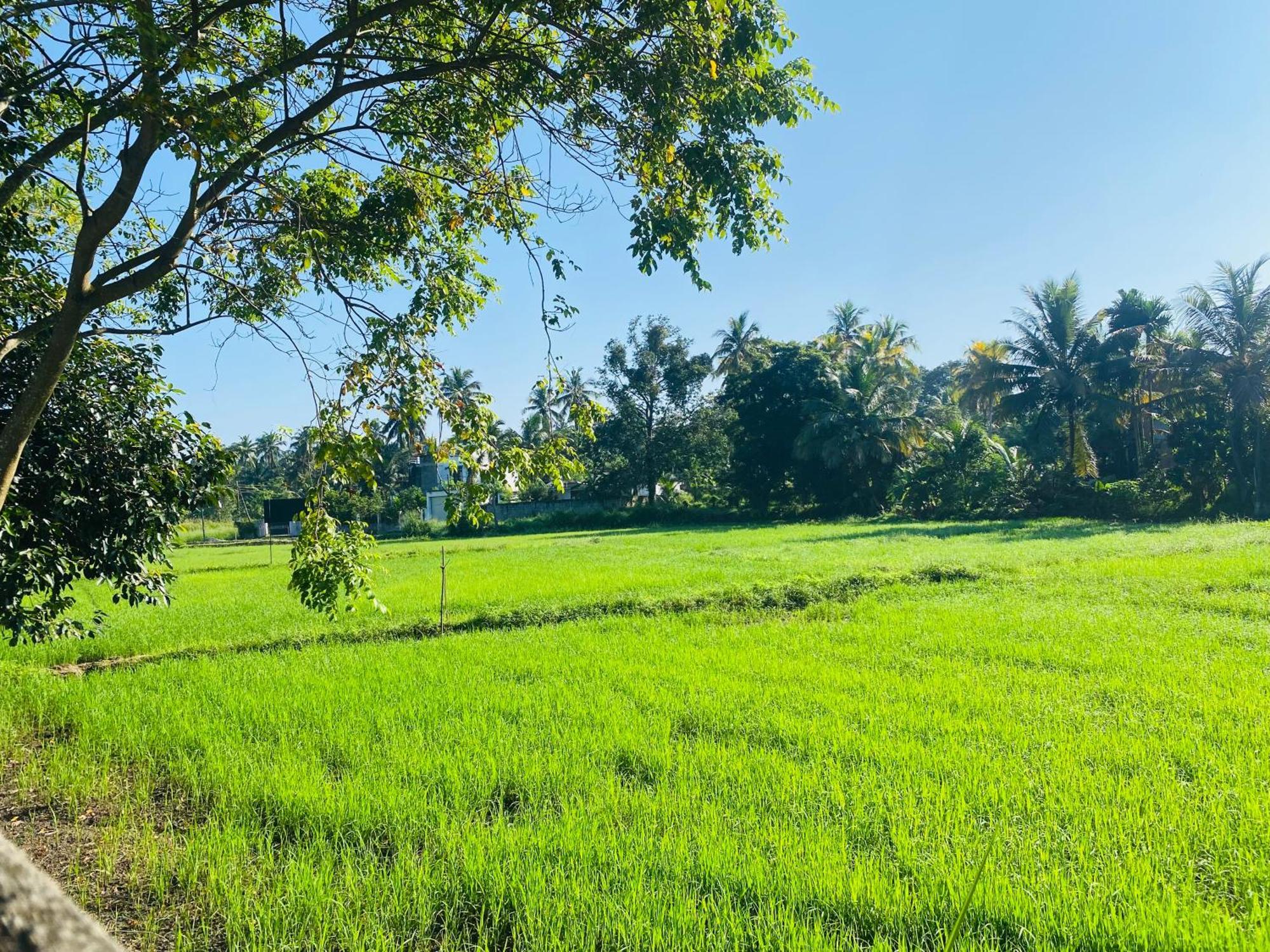 Premium Cottages B&B Kurunegala Luaran gambar