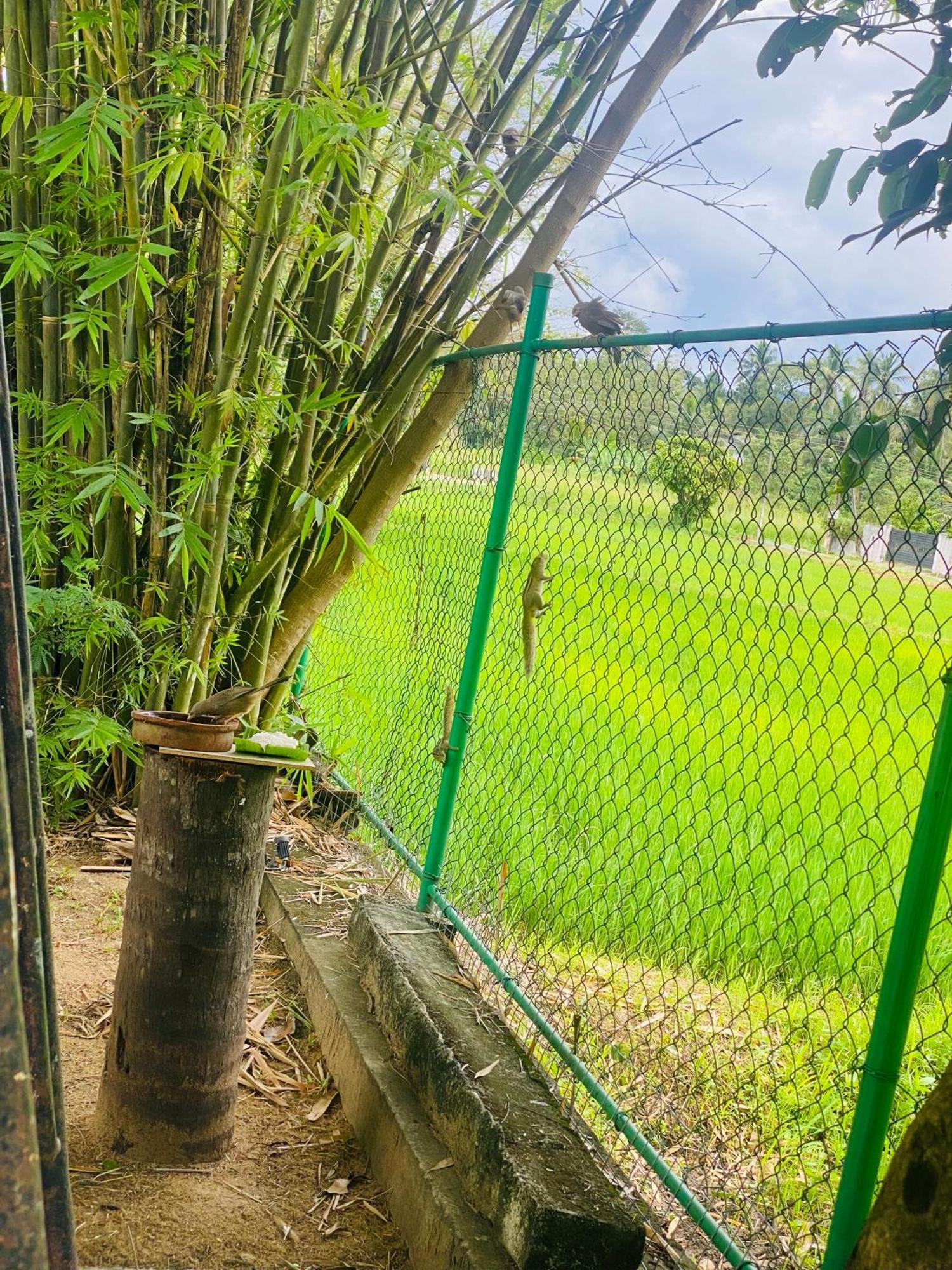Premium Cottages B&B Kurunegala Luaran gambar